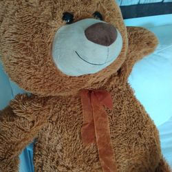 Teddy 🐻