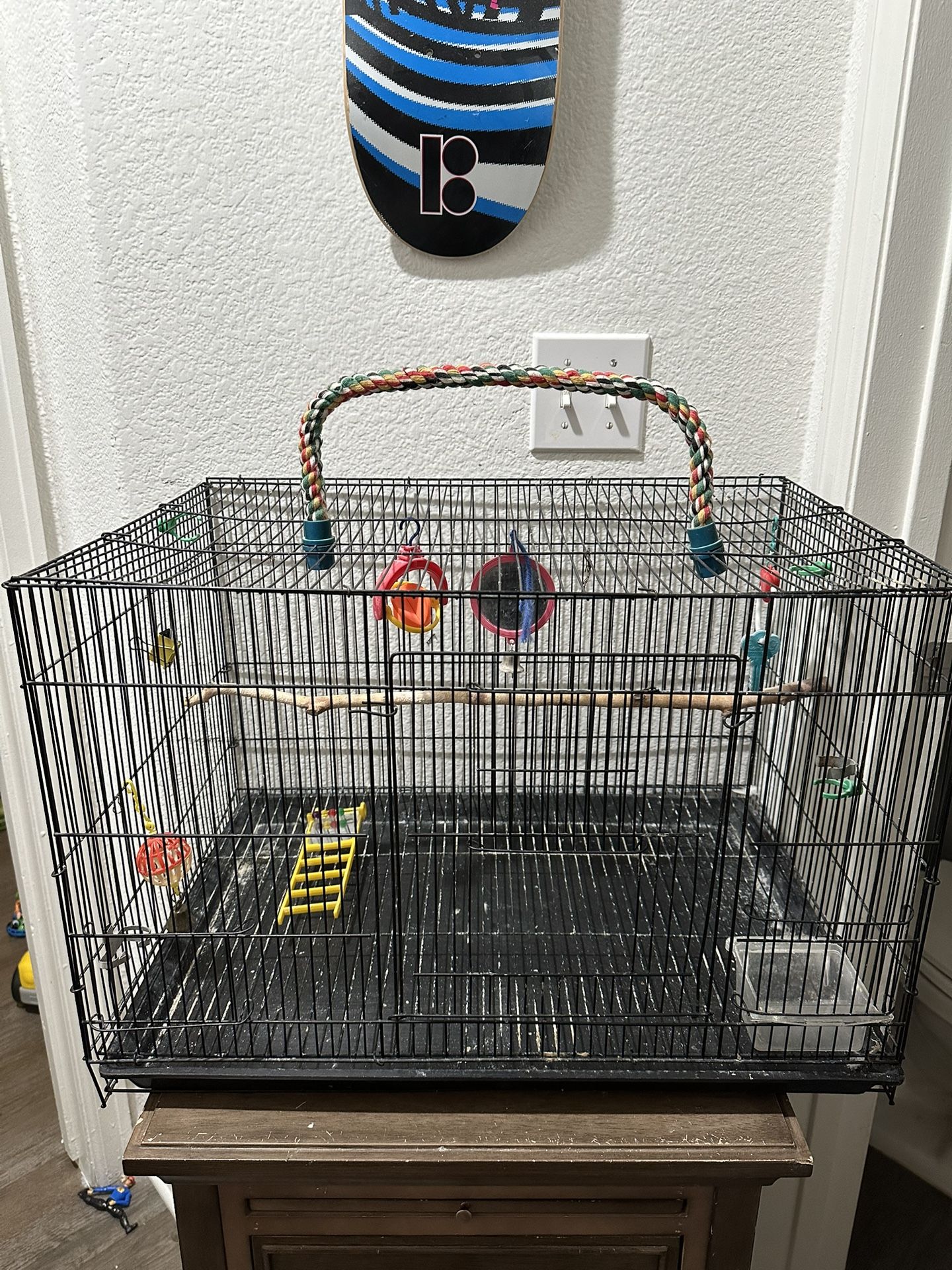 Bird Cage/ Cage 