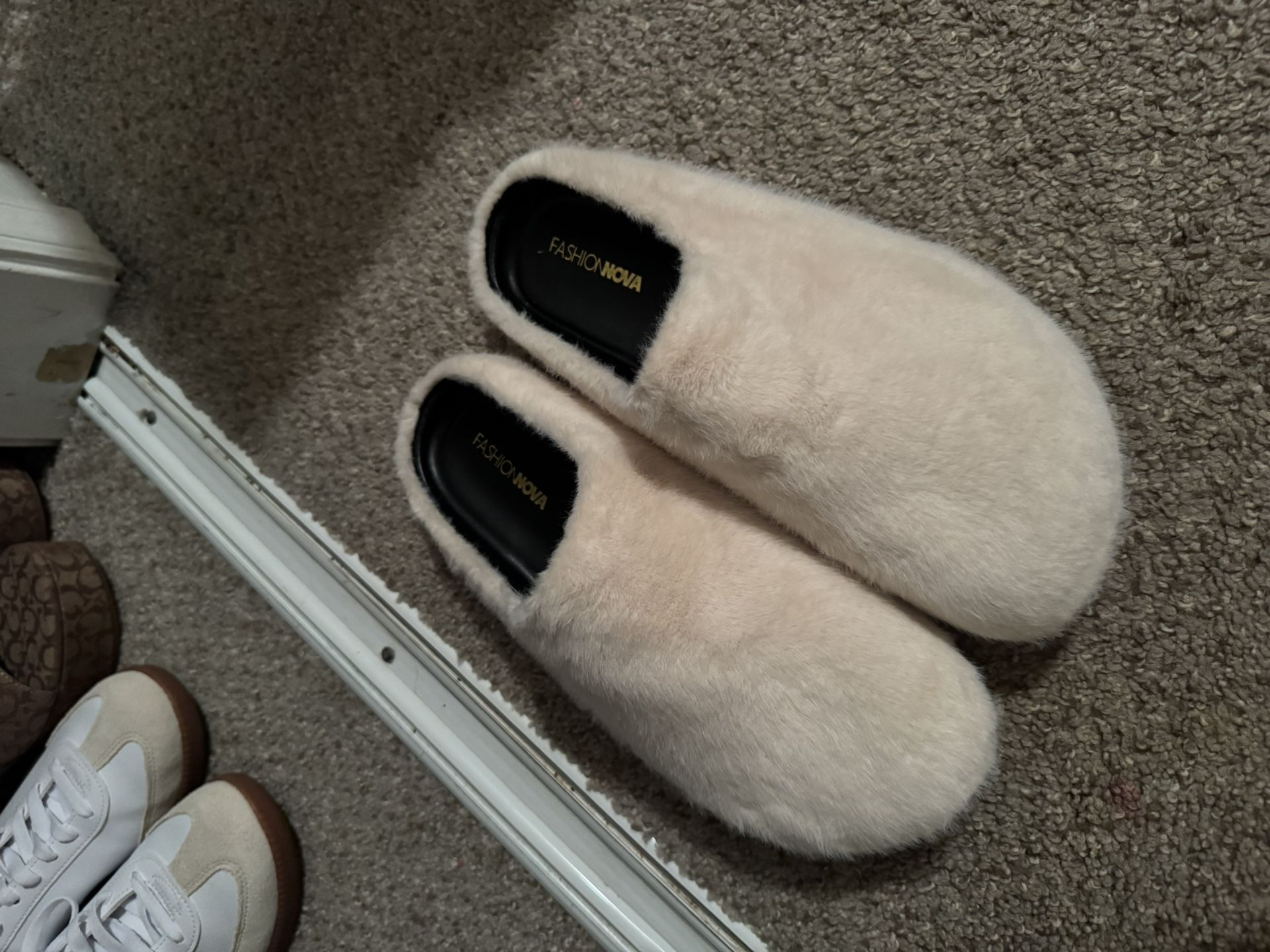Furry Slides 