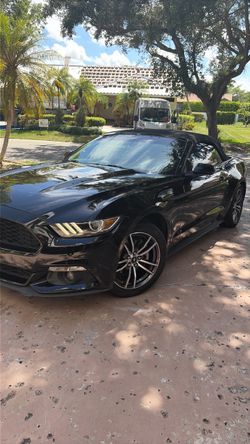 2017 Mustang Ecoboost convertible