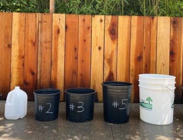 2 and 3 gallon pots on Supersale!