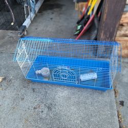 Guinea Pig Cage 