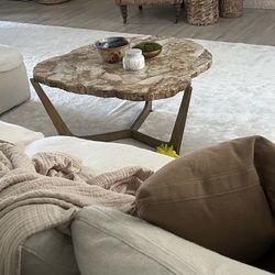 Petrified Wood Coffee Table 