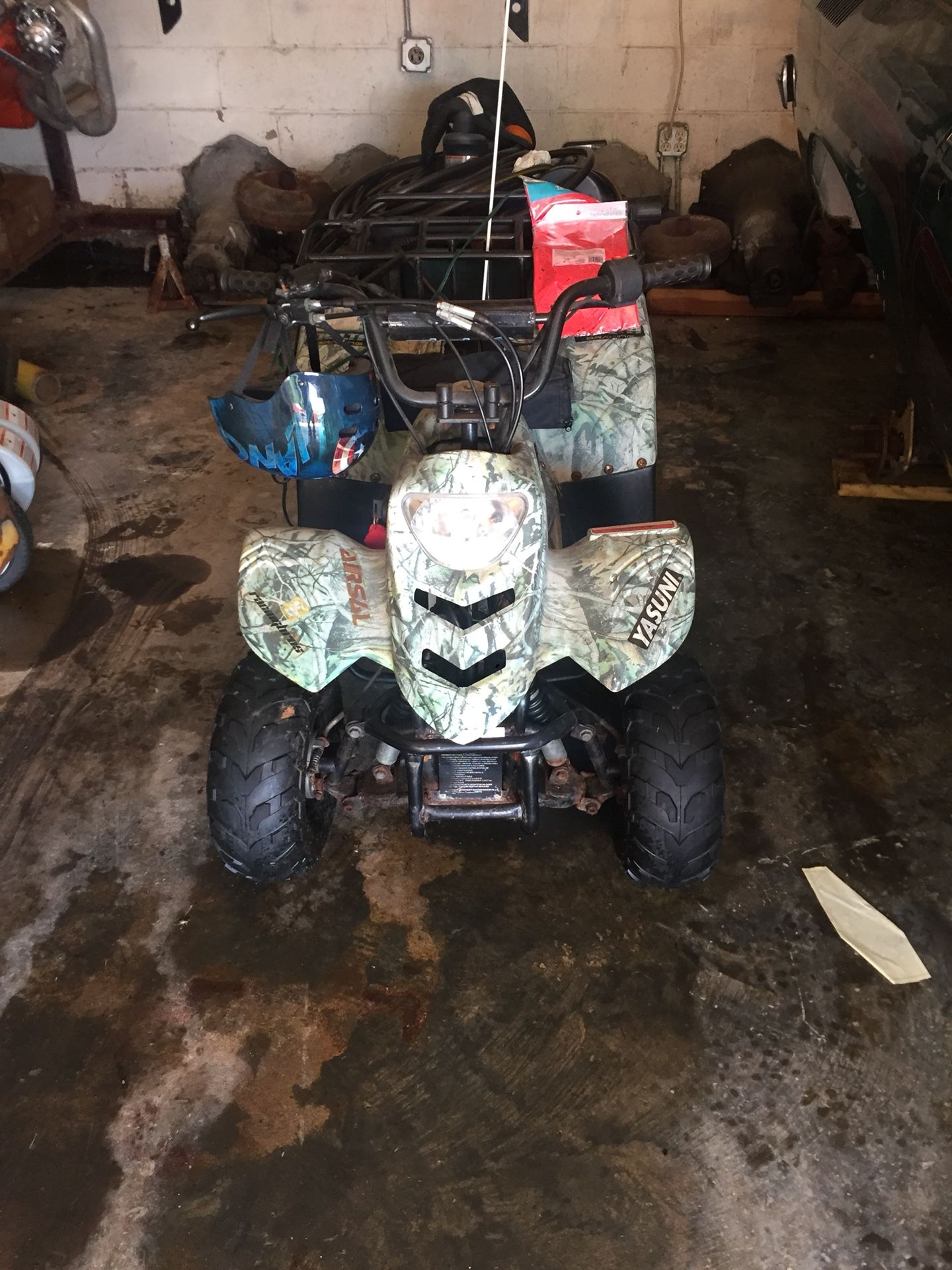 Tao Tao four wheeler