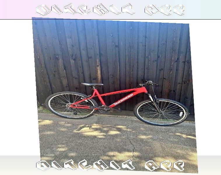 Full Size Bike Comfortable Ride for Daily Activities often majority