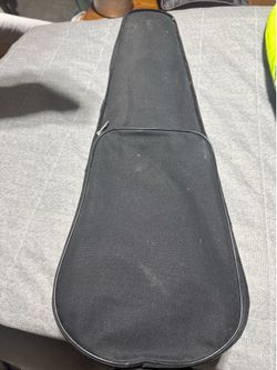 Violin Case