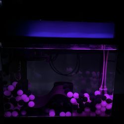 2.5 Gallon Smart Fish Tank - Fish Tank With Lights And Decorations