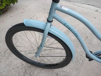 Brand new Concord beach cruiser