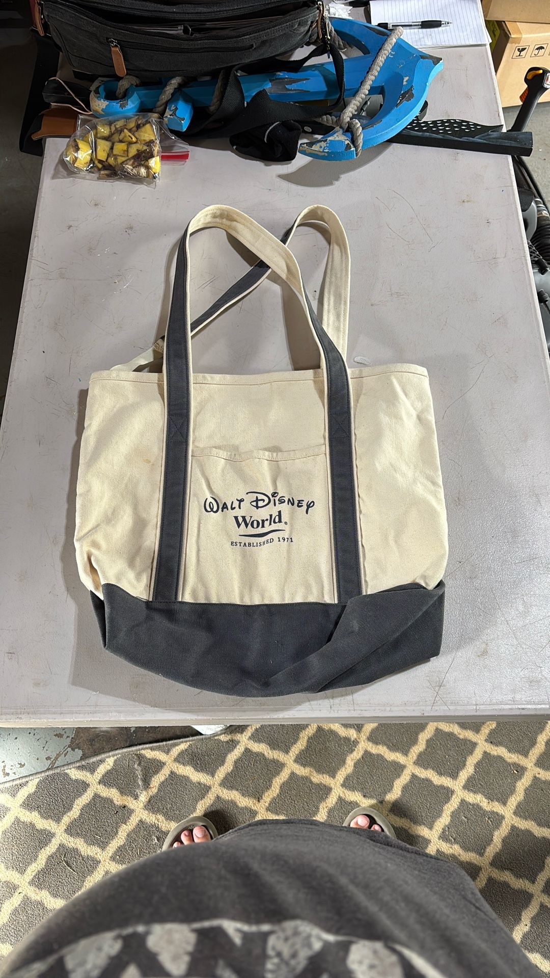 WALT DISNEY WORLD CANVAS BAG