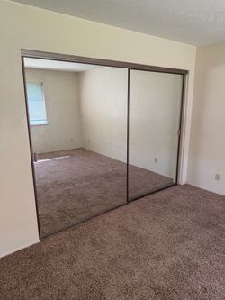 Mirrored sliding bypass closet doors mirror