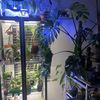PrettyPosh&Plants