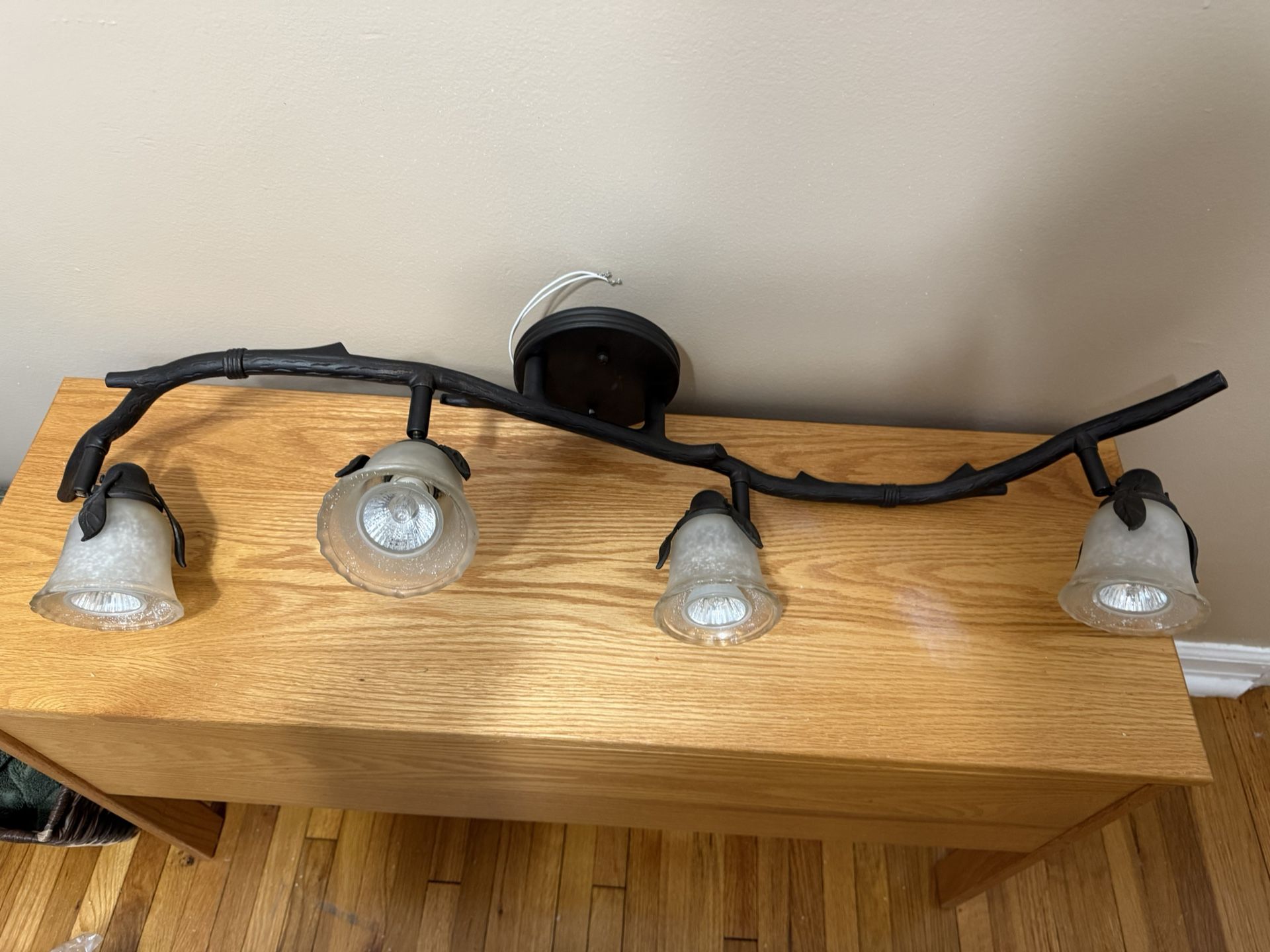 Track Light