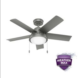 Ceiling Fan With Light