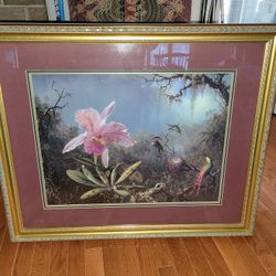 Cattleya Orchid And Three Hummingbirds Framed Print Martin Johnson Heade
