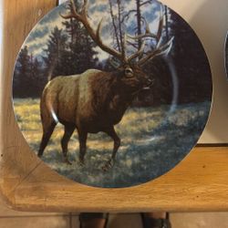Wildlife Decorative Plates