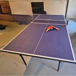 Ping-ball table with paddle and ball