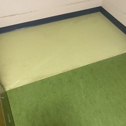 Stripping Waxing Floors 