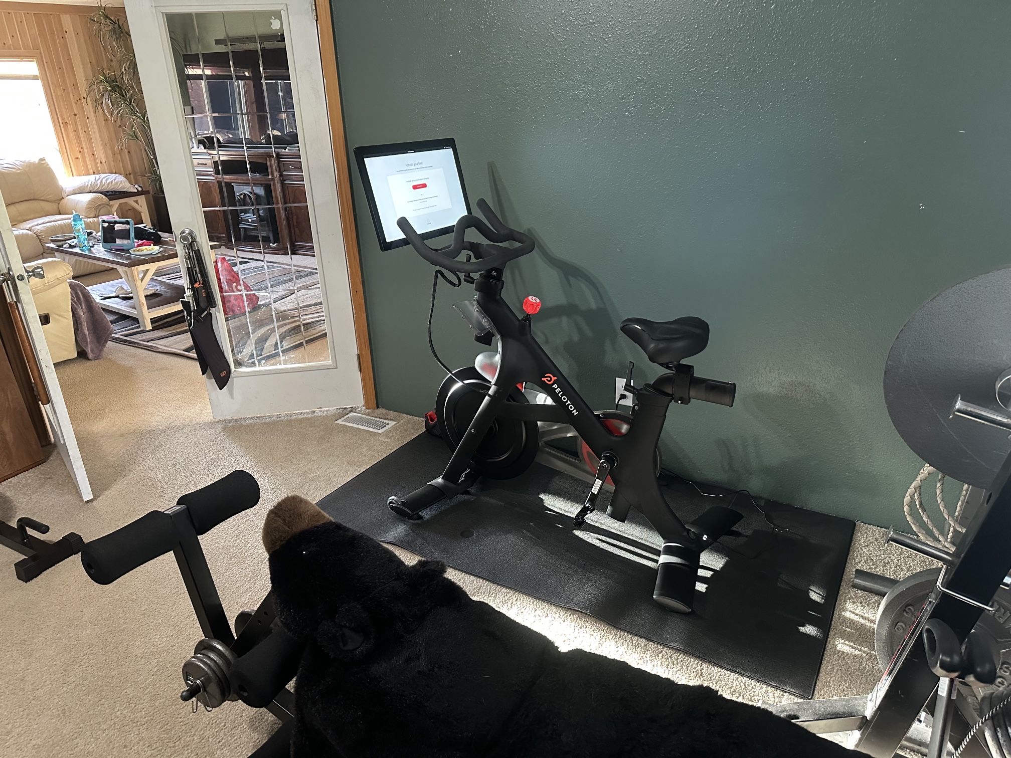 Peloton Bike