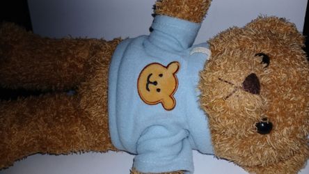 Teddy bear with blue sweater
