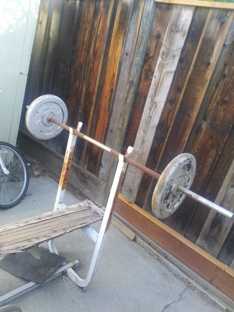 Pig Iron Weights