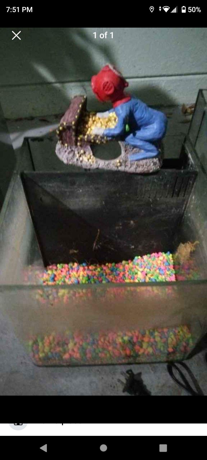 1 Gallon Fish Tank