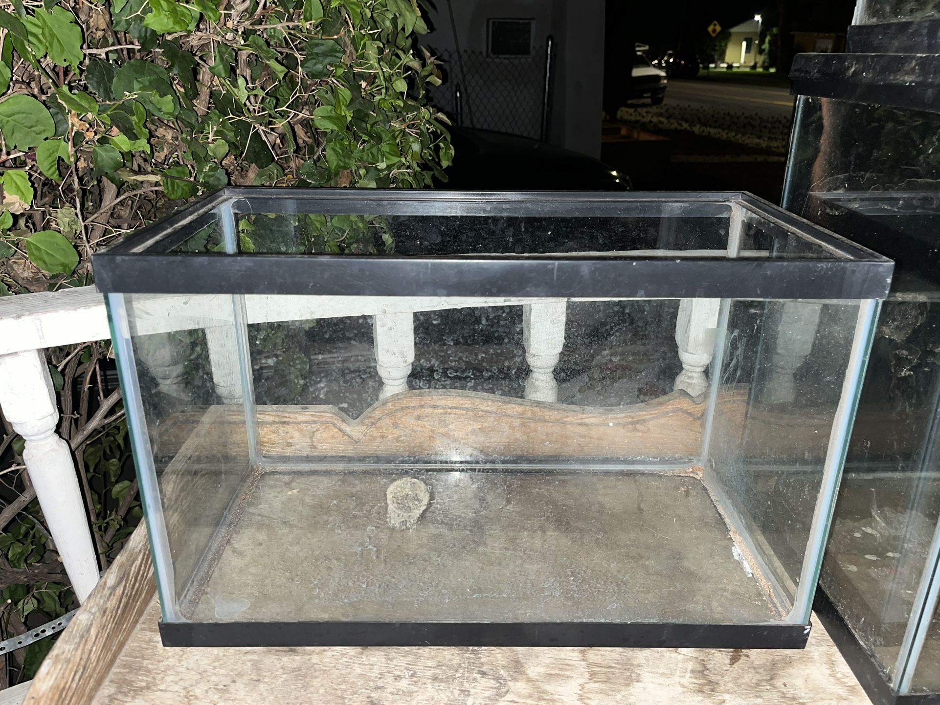 Tank 10 Gallon