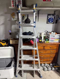 Werner 18ft Ladder