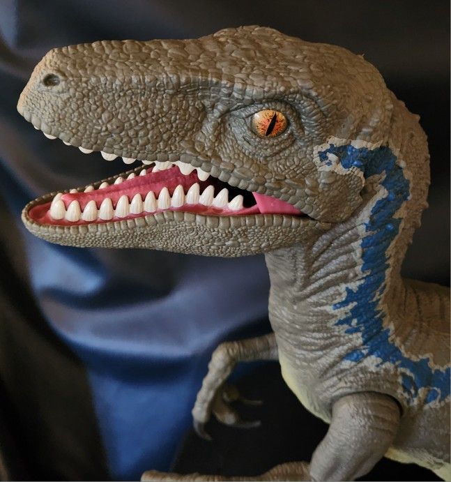 Mattel Jurassic World Super Colossal Velociraptor Blue Action Figure 3.5 Feet Long