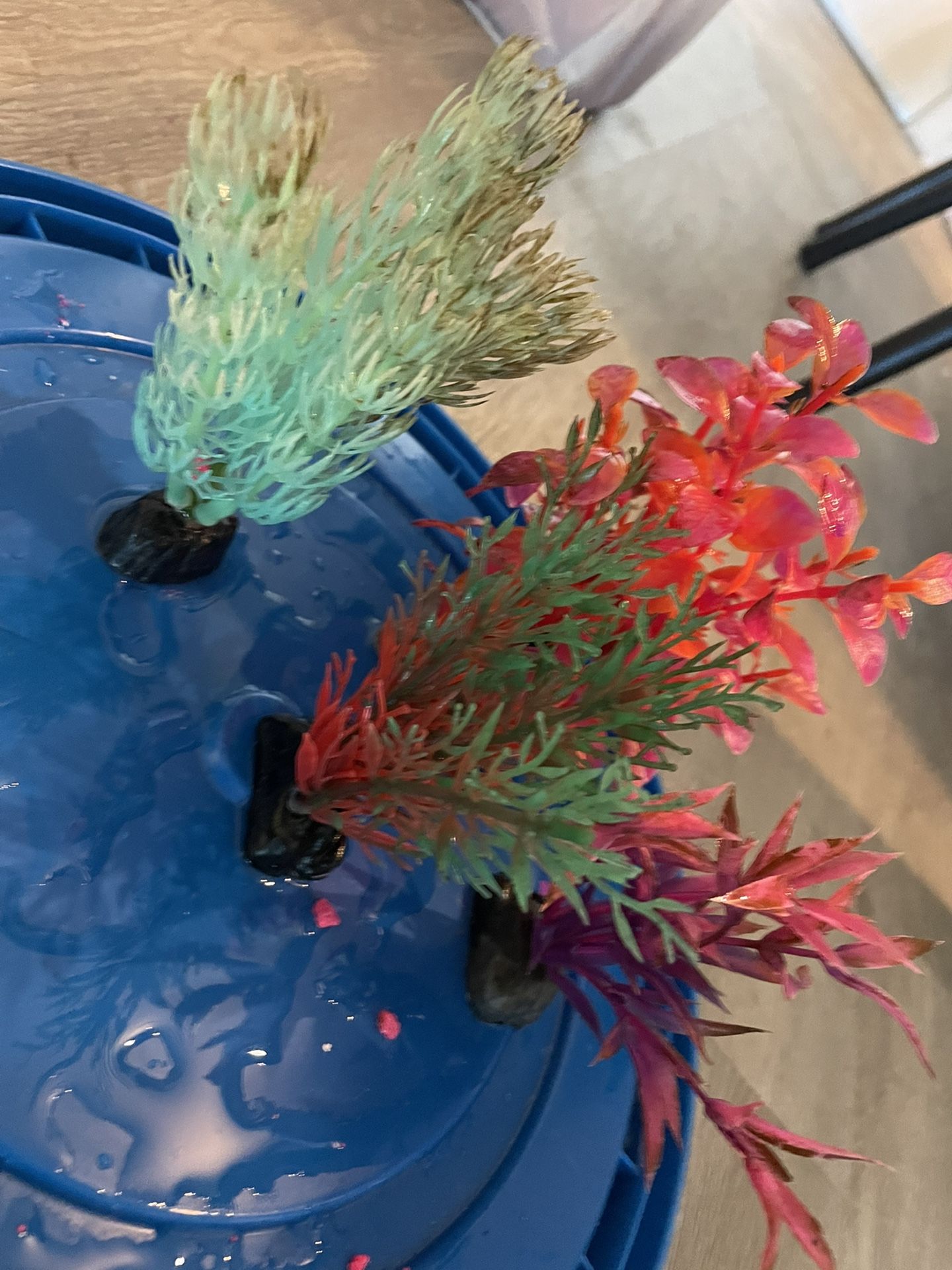 10 Gallon Fish Tank Aquarium- Everything Included