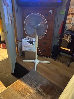 Fan