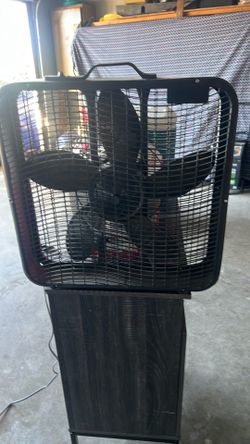 Fan