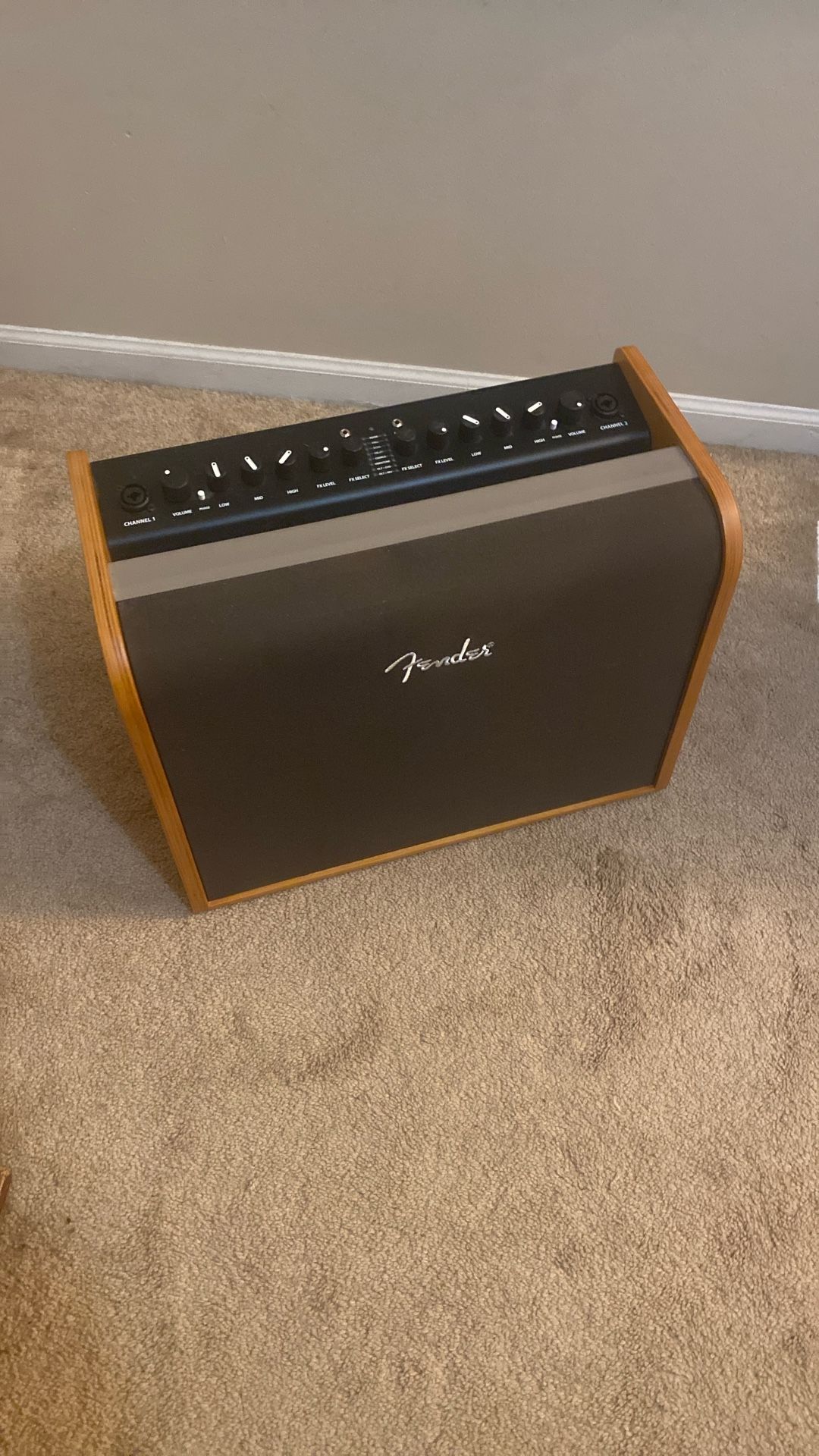 Fender Acoustic 100 Acoustic Amplifier (Bluetooth Capable)