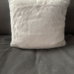Cozy Cream Faux Fur Pillow - Pottery Barn 