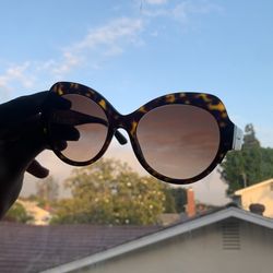 Dolce&Gabana Womens Brown Sunglasses