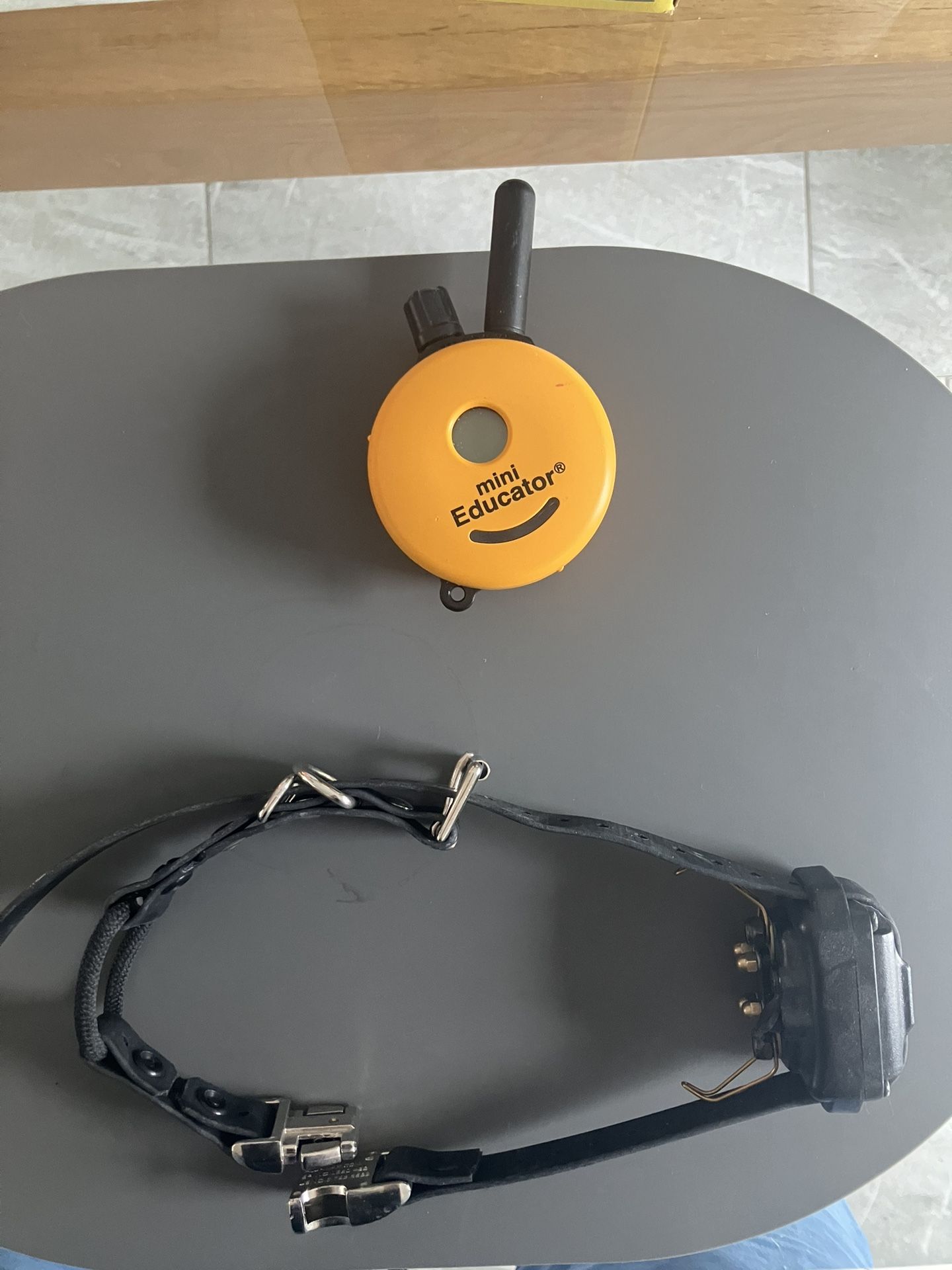 Mini Educator for Dogs