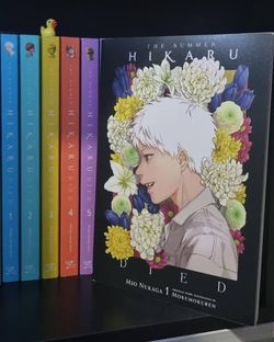 the summer hikaru died novel vol 1