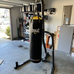 Everlast Power Core Punching Bag And Base