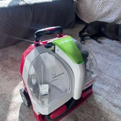 Pet Portable Spot Cleaner