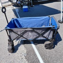 Beach Wagon 