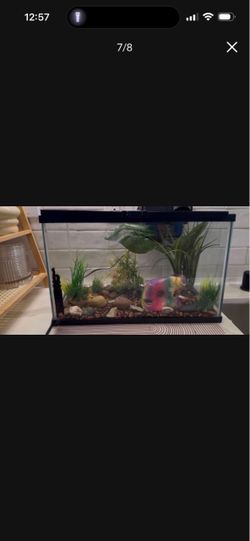 Aquarium Come with filter and decoration