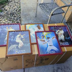 5 Big Tampa Bay Rays Framed  Pictures