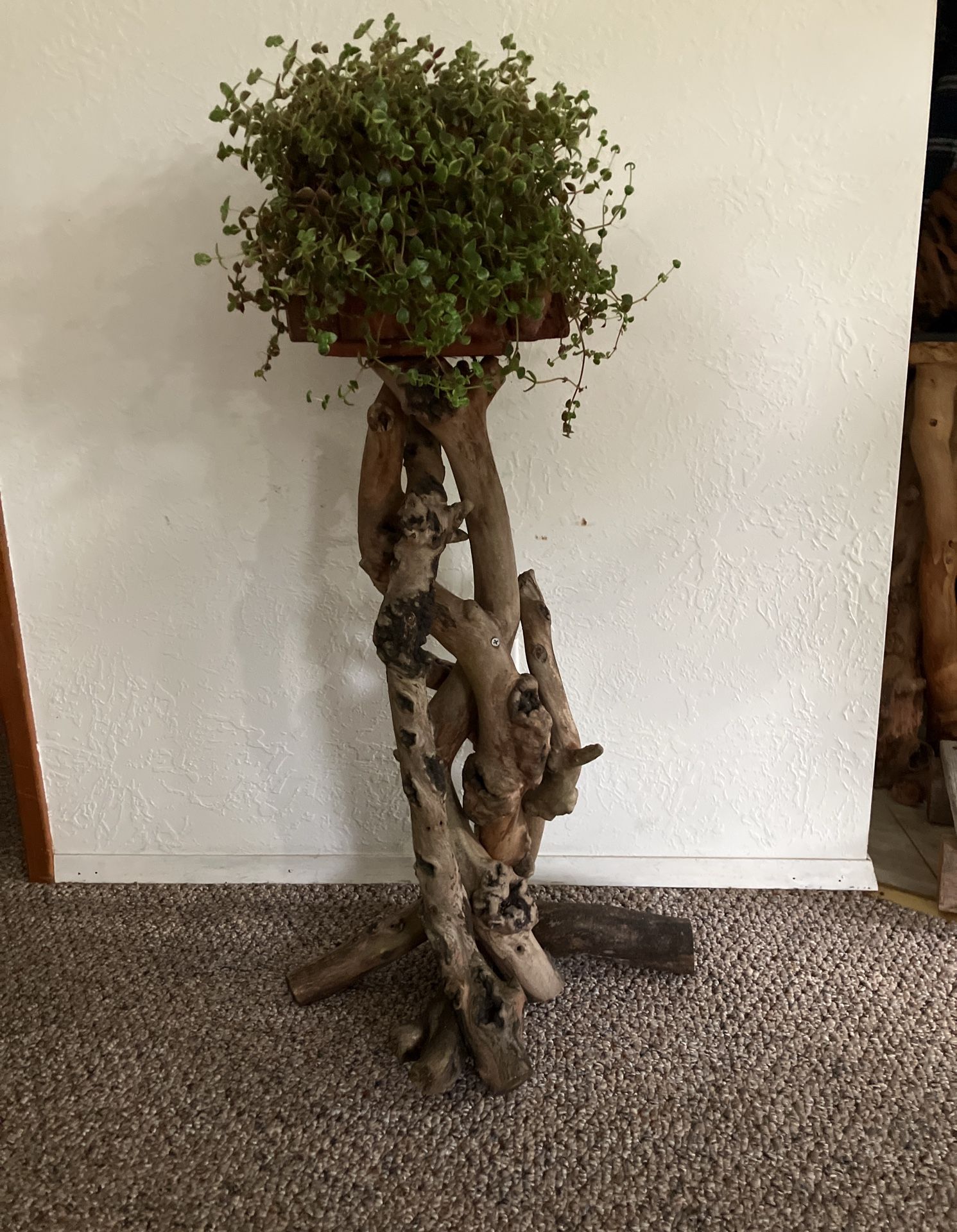 Madrone Wood Plant Stand