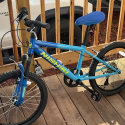 Nishiki bike 20” wheel size
