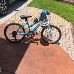 Blue Bike