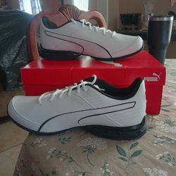 Puma