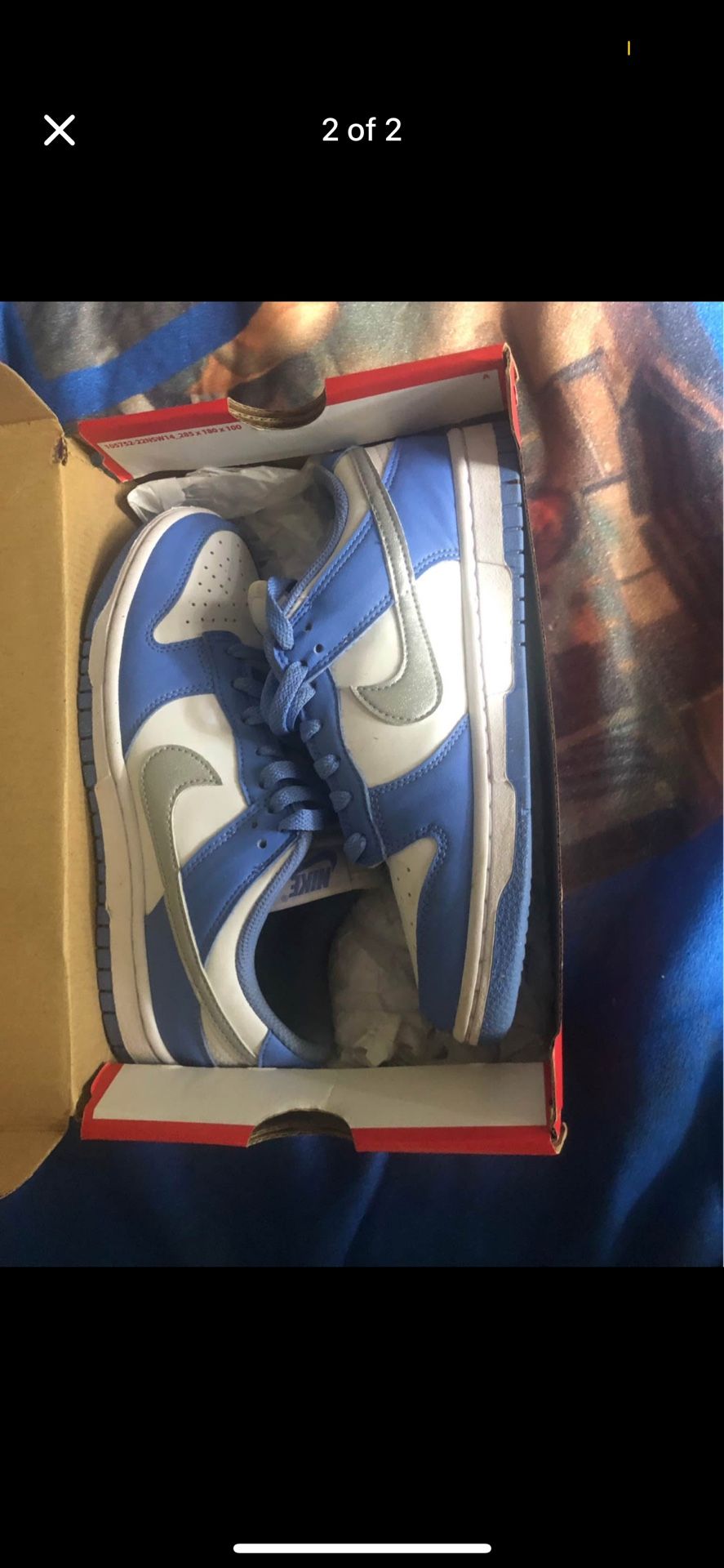Nike Dunk Ones