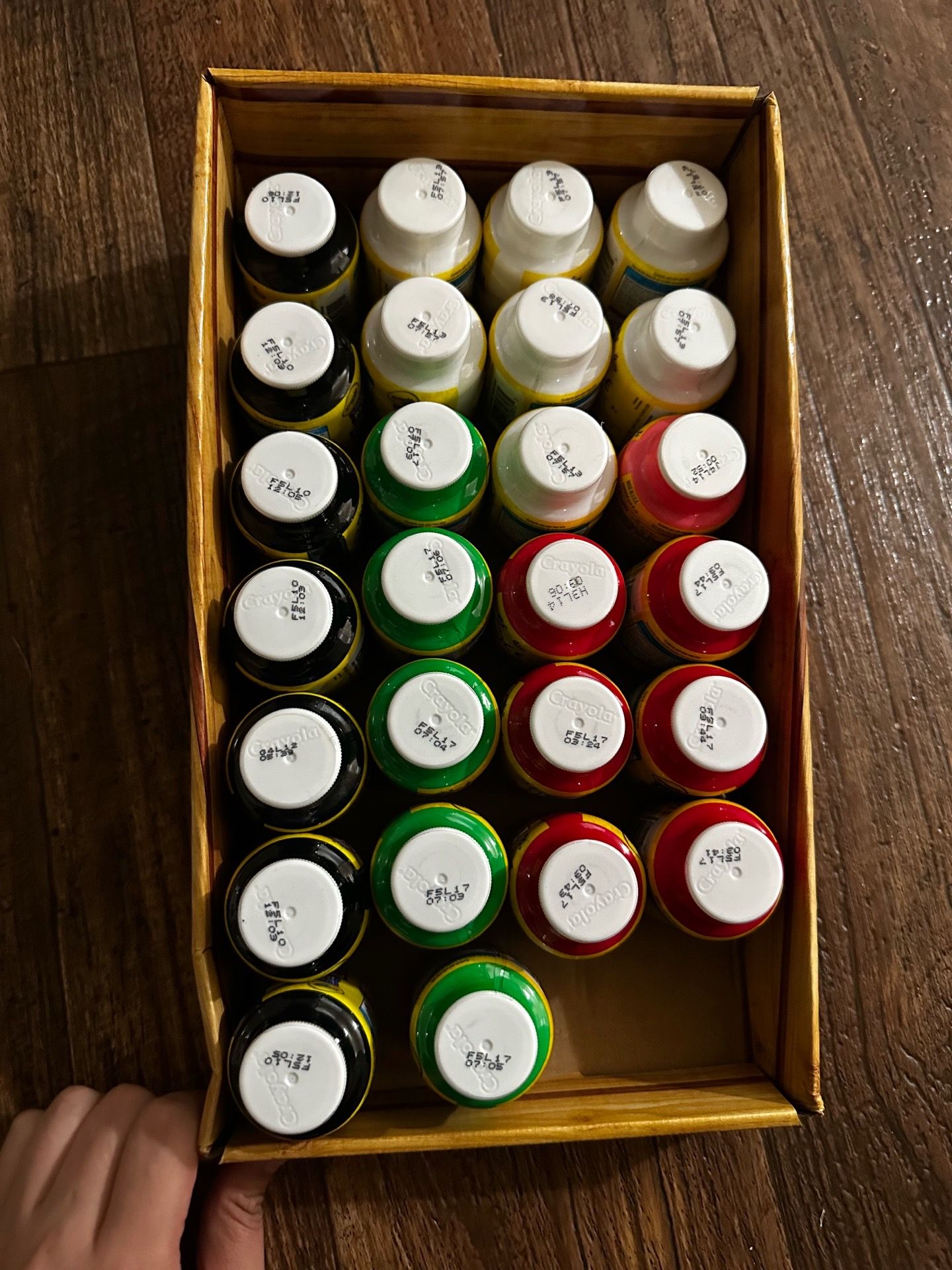 Crayola Washable Paint