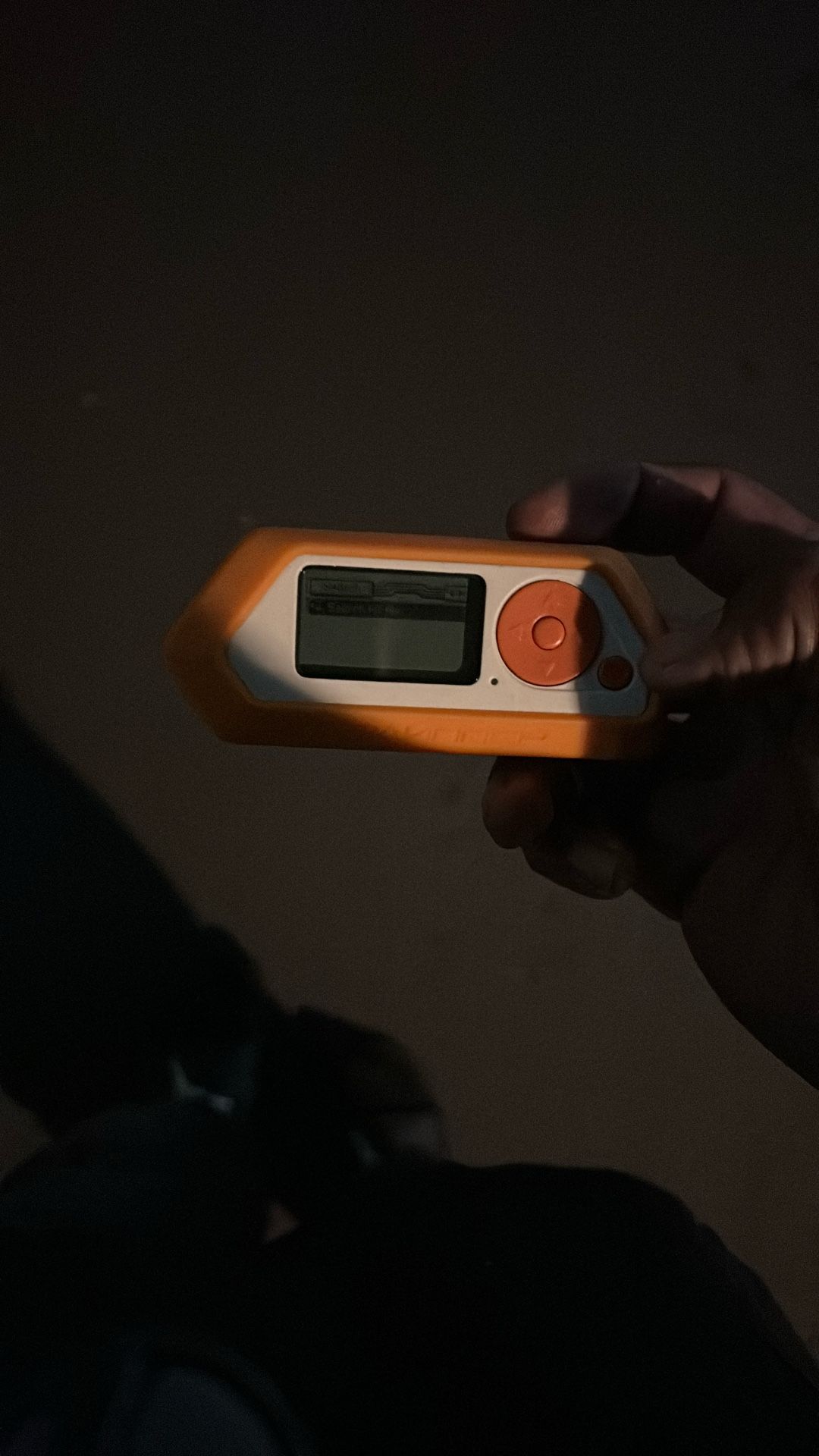 Flipper zero/ WiFi  Esp32 Dev Board