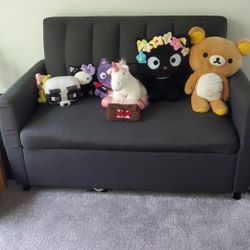 Pull Out Couch (Twin)