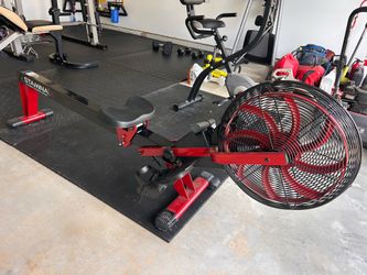 Stamina X Rower